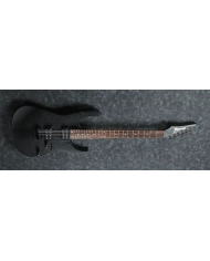 Ibanez RGRT421-WK - Chitara Electrica Ibanez - 5
