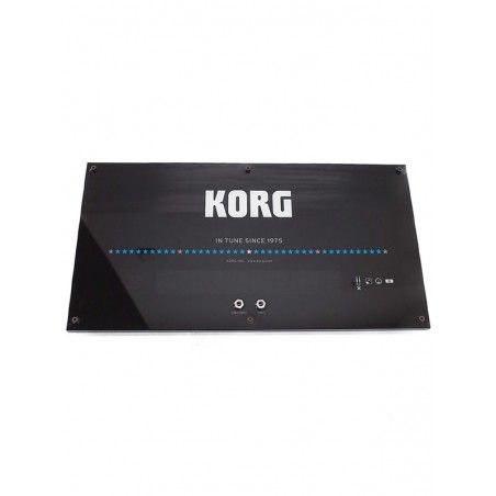 Korg WDT-1 - Acordor de perete Korg - 1
