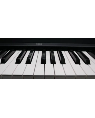 Korg B2 N - Pian Digital cu Claviatura Semi-Grea Korg - 5