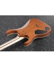 Ibanez RGR5221TFR Prestige - Chitara Electrica Ibanez - 3