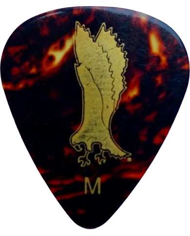 PRS ACC-3206MBK Tortoise Medium - Pana Chitara PRS - 1