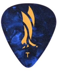 PRS ACC-3210TBK Blue Pearl Thin - Pana Chitara PRS - 1