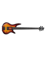 Ibanez GWB205-TQF Gary Willis - Chitara bass fretless 5 cu semnatura Ibanez - 1