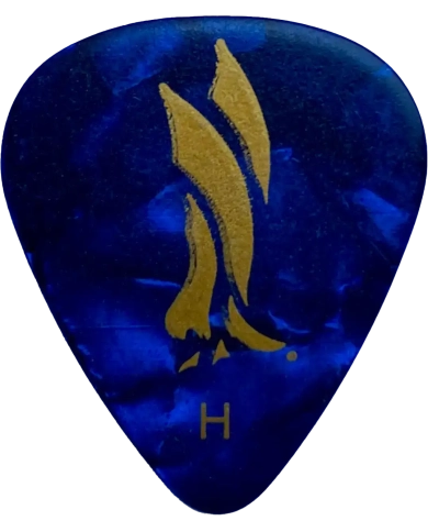 PRS ACC-3210HBK Blue Pearl Heavy - Pana Chitara PRS - 1