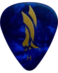 PRS ACC-3210HBK Blue Pearl Heavy - Pana Chitara PRS - 1