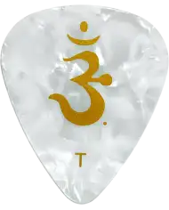 PRS ACC-3207TBK White Pearl Thin - Pana Chitara PRS - 1