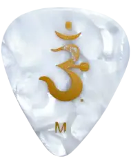 PRS ACC-3207MBK White Pearl Medium - Pana Chitara PRS - 1