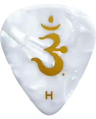 PRS ACC-3207HBK White Pearl Heavy - Pana Chitara PRS - 1