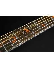 Ibanez AE295-LGS - Chitara electro-acustica Ibanez - 1