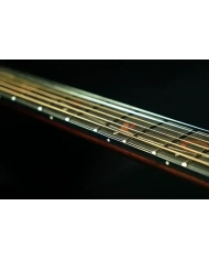 Ibanez AE295-LGS - Chitara electro-acustica Ibanez - 2