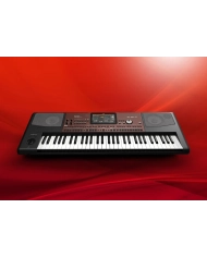 Korg Pa700 - Sintetizator Korg - 6