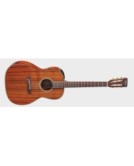 Takamine EF407 - Chitara electro-acustica cu case Takamine - 1