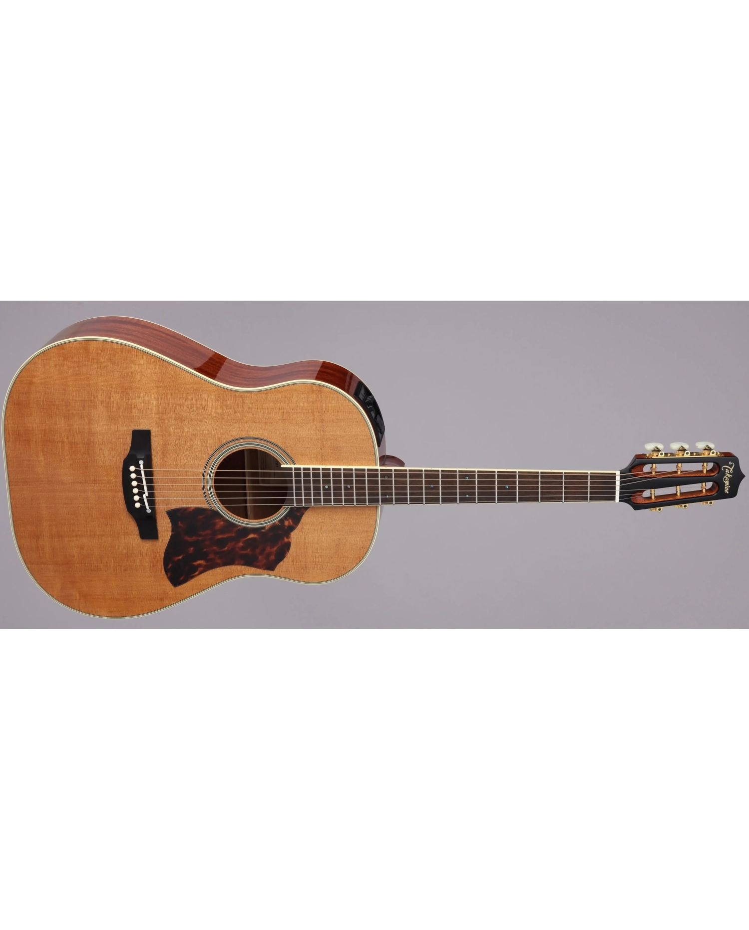 Takamine CRNTS1 - Chitara electro-acustica cu case Takamine - 1