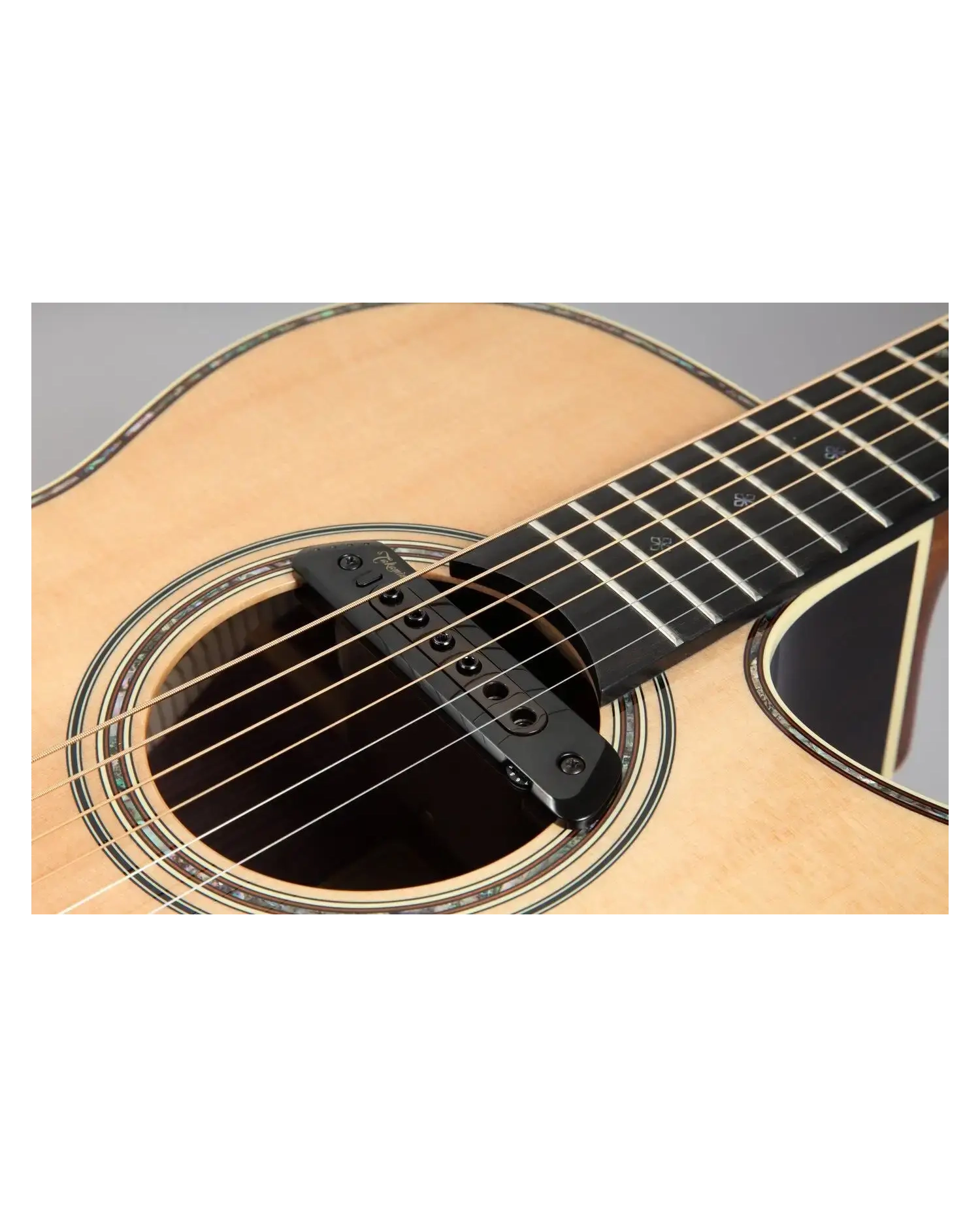 Takamine TRI-AX 2 - Doza chitara Takamine - 2