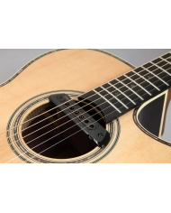 Takamine TRI-AX 2 - Doza chitara Takamine - 2