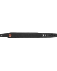 Steph GT-109 Rust - Curea Chitara Steph - 1