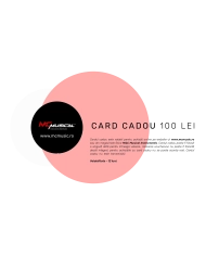 Card cadou 100 lei