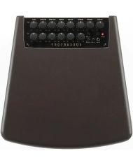 Ibanez T80II-U Troubadour - Amplificator Chitara Acustica