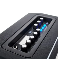 MOOER DH01 Hornet - Amplificator Chitara
