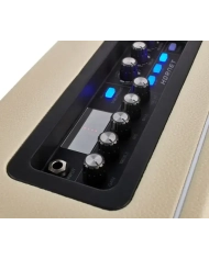 MOOER DH01 HORNET WHITE - AMPLIFICATOR CHITARA 15W