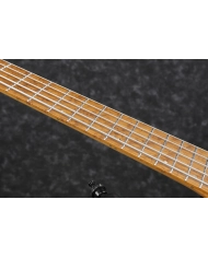IBANEZ EHB1005MS-BKF - CHITARA BAS 5 CORZI CU HUSA