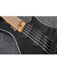 IBANEZ EHB1005MS-BKF - CHITARA BAS 5 CORZI CU HUSA