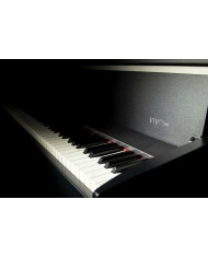 Dexibell VIVO H5 Black - Pian Digital