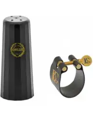 Grassi SAL700 Bundle - Saxofon Alto Eb