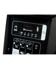 Italian Stage FRX10AW - Boxa Activa cu conexiune Bluetooth