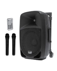 Italian Stage FR12AW V2 - Boxa Activa cu conexiune Bluetooth si microfoane wireless