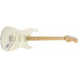 Fender Player Stratocaster...