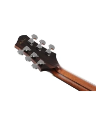 Ibanez PA300E-NSL - Chitara Electro-Acustica