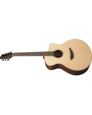 Ibanez PA300E-NSL - Chitara Electro-Acustica