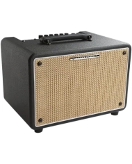 Ibanez T150S Troubadour - Amplificator Chitara Acustica
