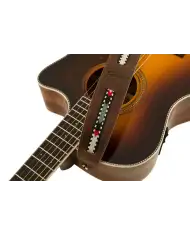 Fender Paramount Acoustic - Curea Chitara