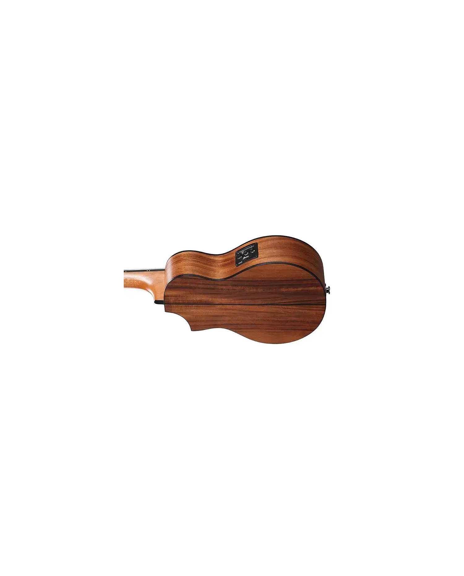 Ibanez EWP12EWB-OPN - Chitara Acustica Piccolo cu Husa