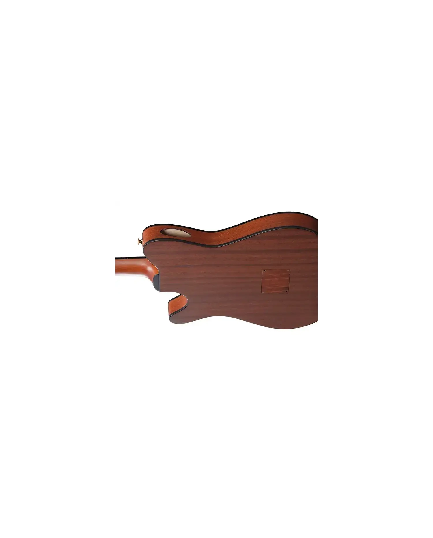 Ibanez FRH10N-NTF - Chitara Clasica Electro-Acustica
