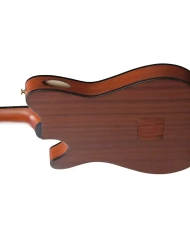 Ibanez FRH10N-NTF - Chitara Clasica Electro-Acustica