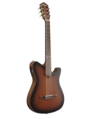 Ibanez FRH10N-BSF - Chitara Clasica Electro-Acustica