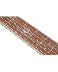 Chitara Clasica Electro-Acustica, Ibanez TOD10N-TKF| MC MUSIC