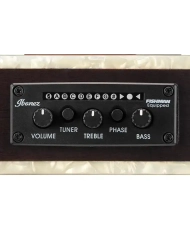 Chitara Clasica Electro-Acustica, Ibanez TOD10N-TKF| MC MUSIC