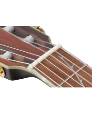 Chitara Clasica Electro-Acustica, Ibanez TOD10N-TKF| MC MUSIC