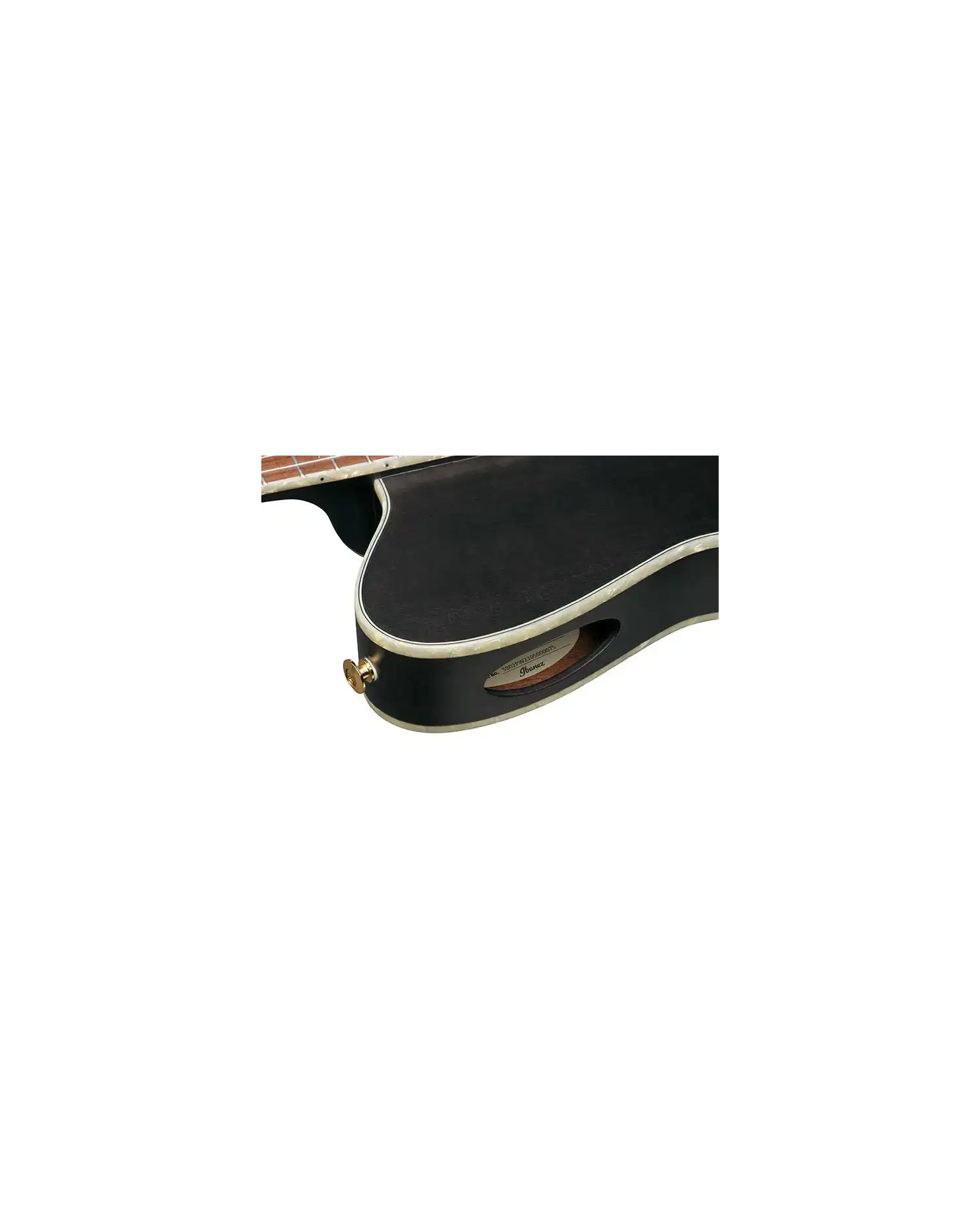 Chitara Clasica Electro-Acustica, Ibanez TOD10N-TKF| MC MUSIC