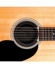 D`Addario PW-SH-01 - Capac Antimicrofonie Chitara