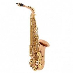 Odyssey Alto OAS700 - Saxofon Odyssey - 1