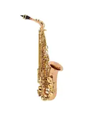 Odyssey Alto OAS700 - Saxofon Odyssey - 1