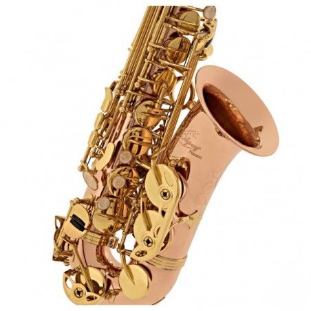 Odyssey Alto OAS700 - Saxofon Odyssey - 1