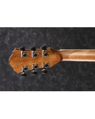 IBANEZ AE245-NT - CHITARA ELECTROACUSTICA