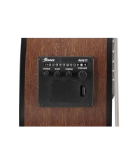 Ibanez VC44CE-OPN - Chitara Electroacustica