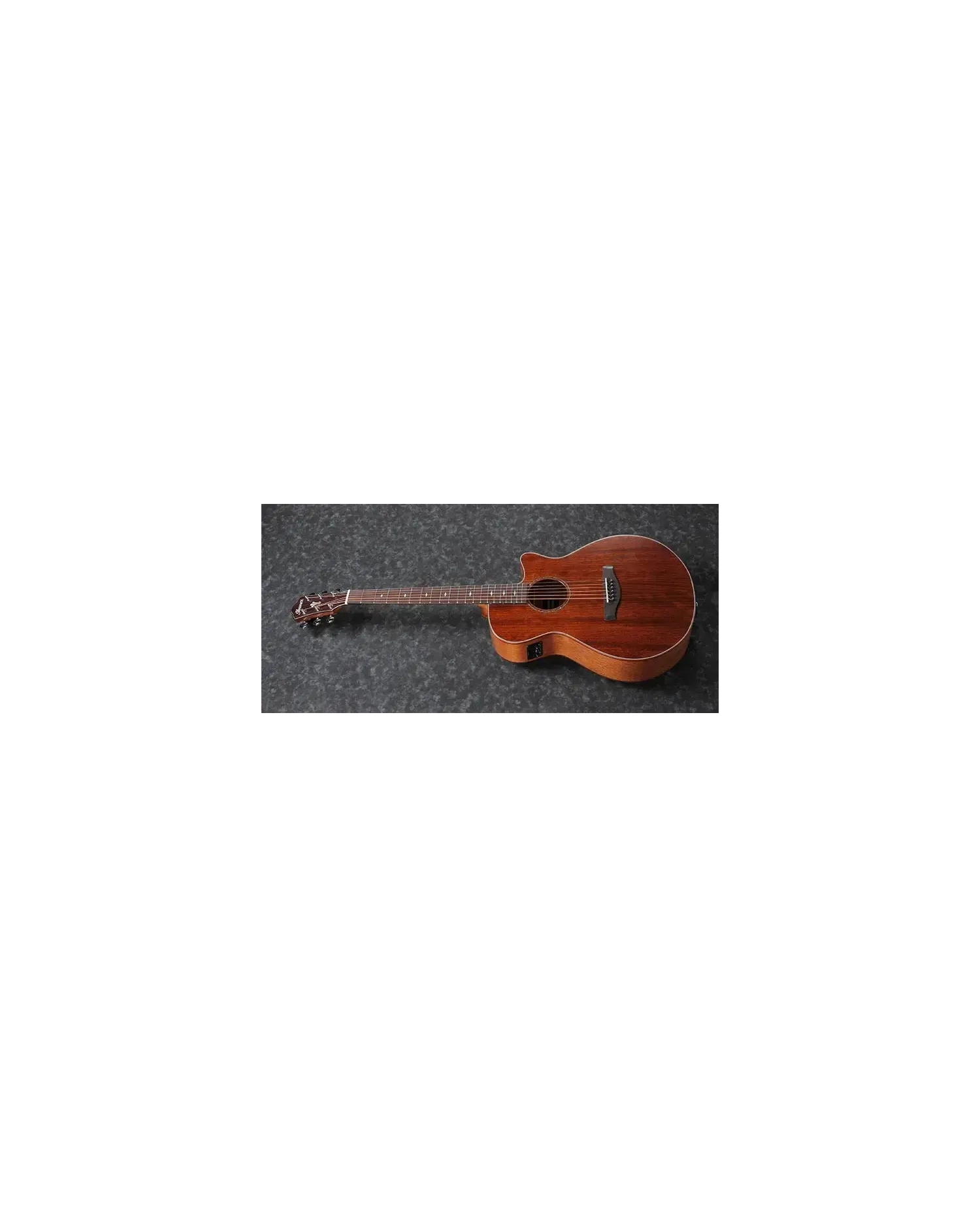 Ibanez AEG220-LGS - Chitara Electro-Acustica